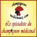 Voir tous les champignons medicinaux