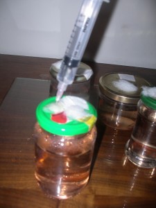 injecter l'H2O2 par le port d'inoculation de la culture liquide
