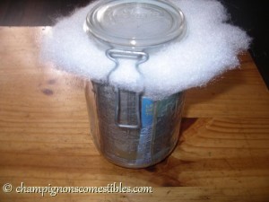 Recouvrir le bocal avec de la ouate filtrante