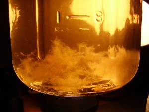 culture liquide champignons