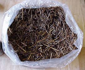 paille prête à être inoculée